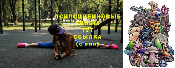 прущая мука Нея