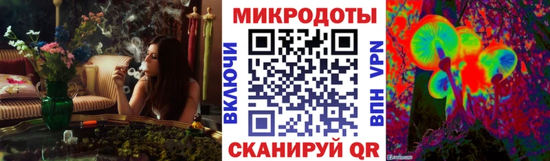 Галлюциногенные грибы Cubensis  Новая Усмань 
